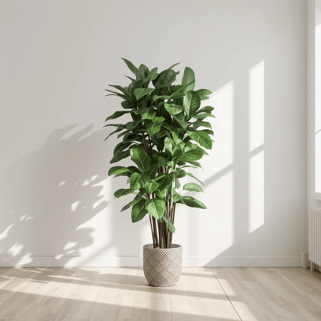 Plantes Artificielles