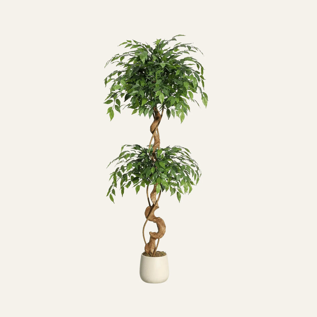 Ficus Artificiel 150 cm