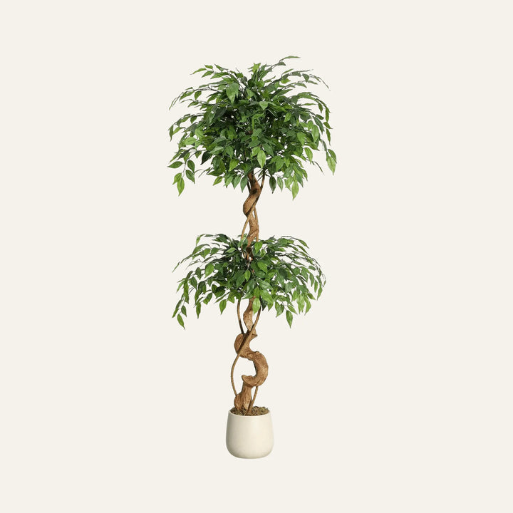 Ficus Artificiel 150 cm