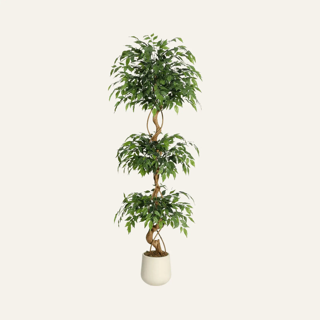 Ficus Artificiel 180 cm