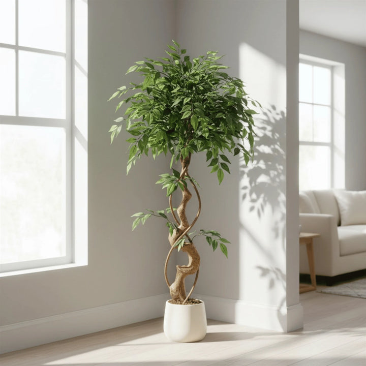Ficus Artificiel en situation dans une décoration intérieure