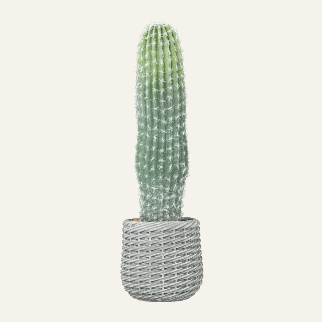 Vue produit de grand cactus artificiel pour décoration intérieure