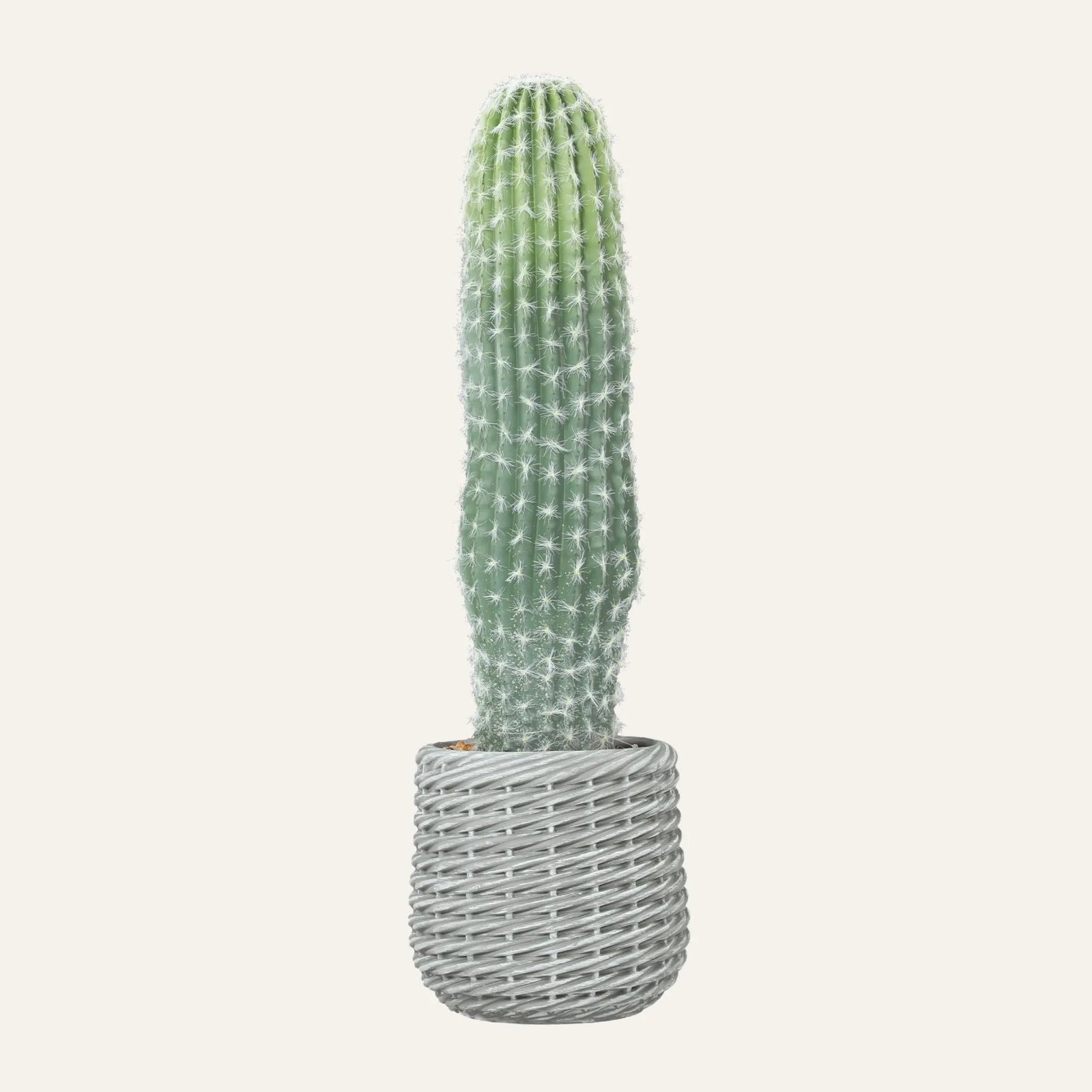 Vue produit de grand cactus artificiel pour décoration intérieure