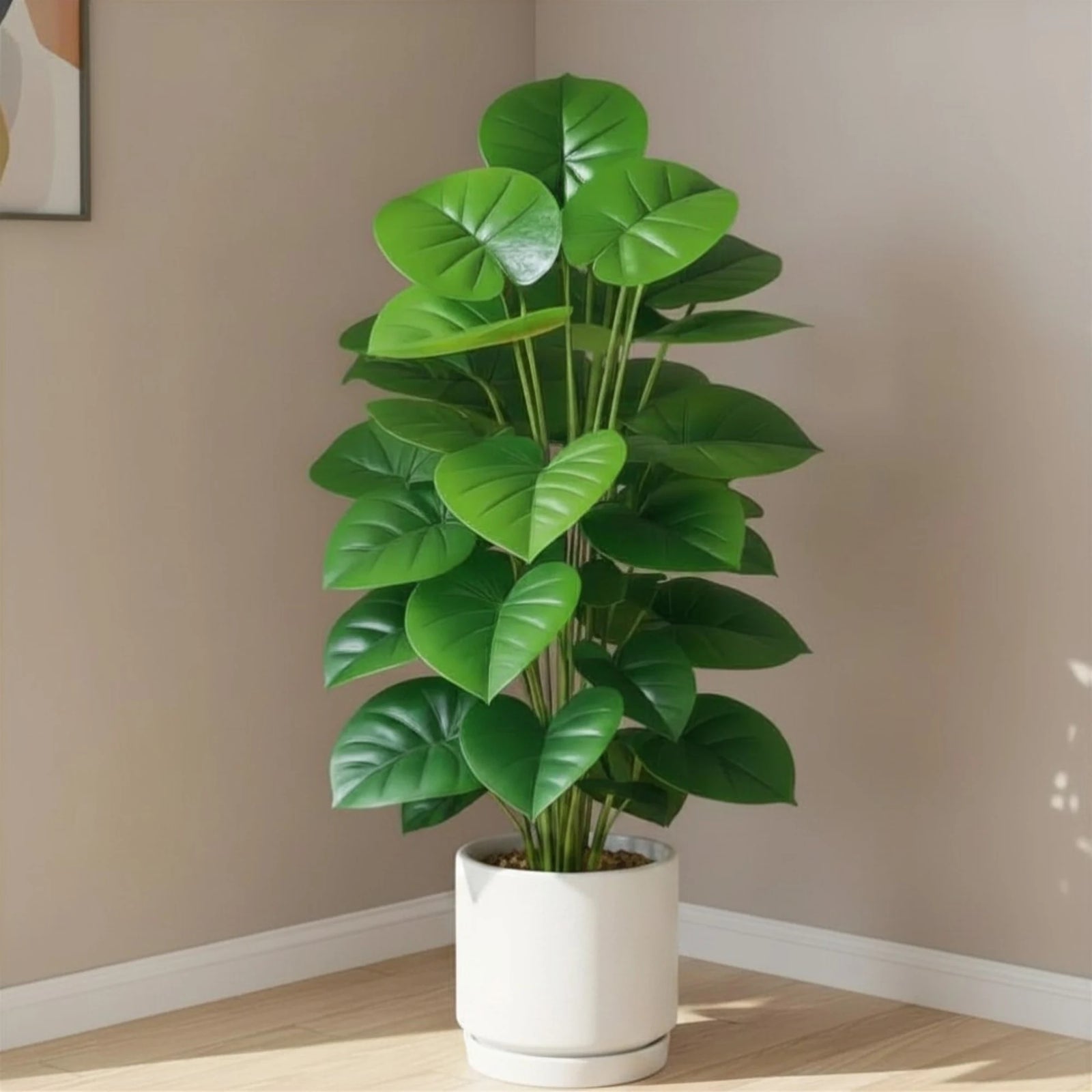 Homalomena Artificielle en situation dans une décoration intérieure
