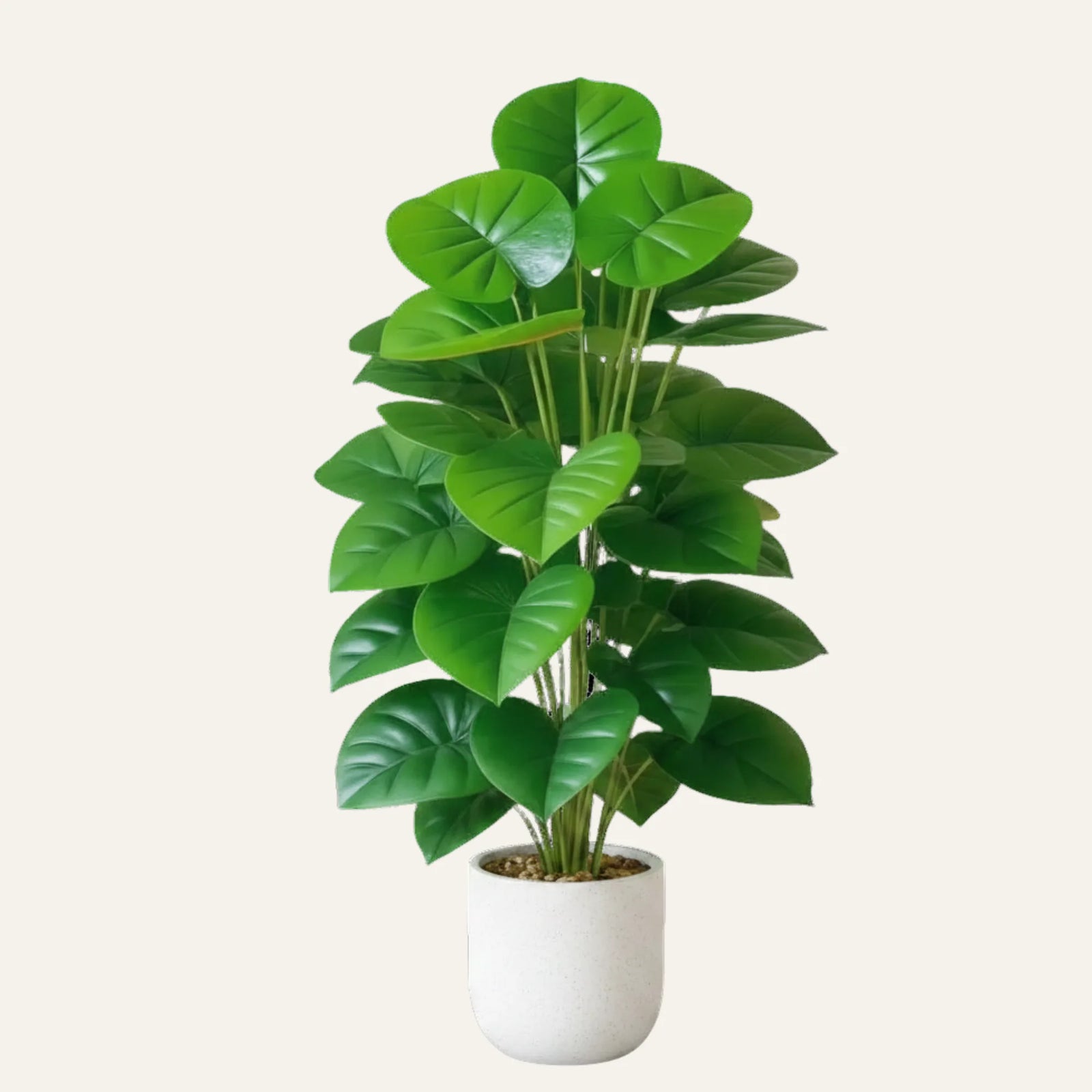 Vue produit de homalomena artificielle pour décoration intérieure