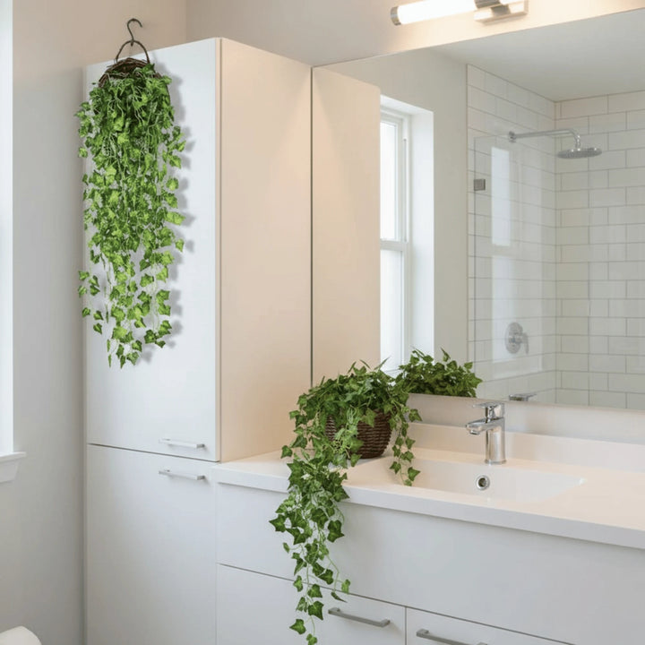 Lierre Artificiel en situation dans une décoration intérieure