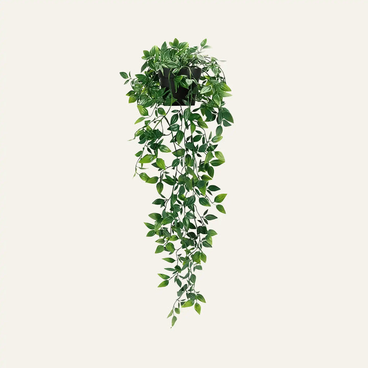 Plante Suspendue Artificielle 65 cm