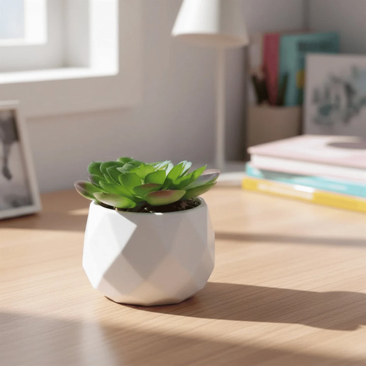 Succulente Artificielle en situation dans une décoration intérieure