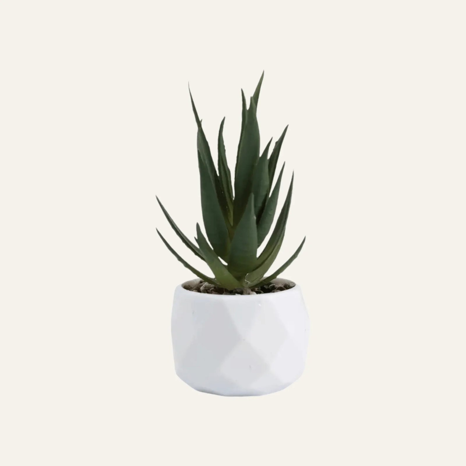 Succulente Artificielle modèle 2
