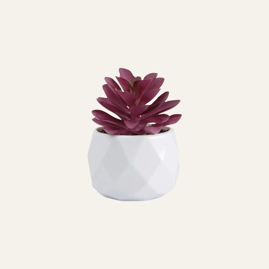 Succulente Artificielle modèle 3