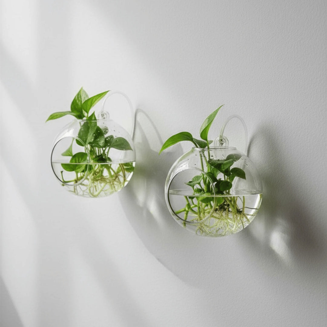 Vase en Verre Suspendu en situation sur une table ou une étagère