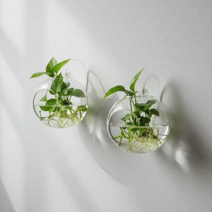 Vase en Verre Suspendu en situation sur une table ou une étagère
